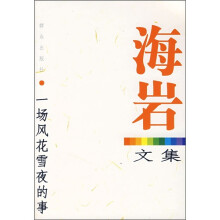 海岩文集:一场风花雪夜的事
