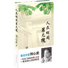 人在胡同第几槐