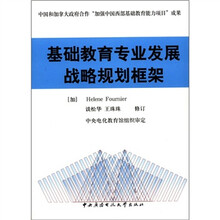 基础教育专业发展战略规划框架