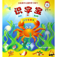 全面提升儿童的学习能力·识字宝:汉字变变变(第1册)