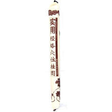 实用经络穴位挂图（附挂图3张+说明书1份）