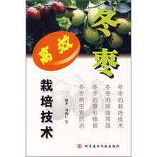 冬枣高效栽培技术
