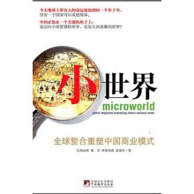 小世界(全球整合重塑中国商业模式)