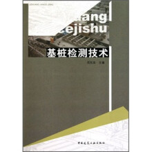 基桩检测技术