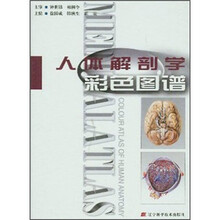 人体解剖学彩色图谱（精）