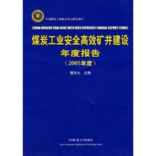 煤炭工业安全高效矿井建设年度报告(2005年度)