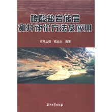 碳酸盐岩储层测井评价方法及应用