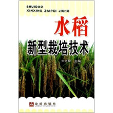 水稻新型栽培技术