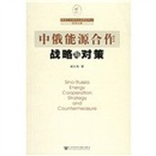 中俄能源合作战略与对策