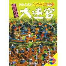 大迷宫:魔堡寻宝(赠送大迷宫动画VCD光盘1张)