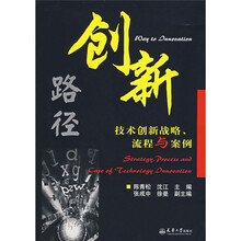 创新路径：技术创新战略、流程与案例