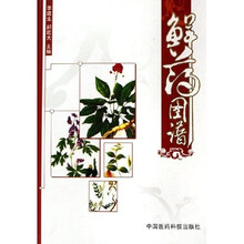 鲜药图谱