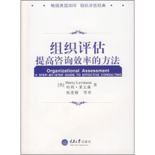 组织评估提高咨询效率的方法