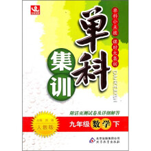 单科集训:9年级数学(下)(人教版)