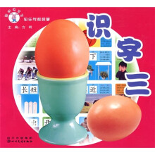 聪明兔宝宝快乐学前启蒙：识字3（注音版）