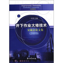 井下作业大修技术交流会论文集（2009）