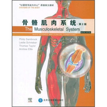 骨骼肌肉系统（第2版）