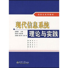 信息化系列教材：现代信息系统理论与实践
