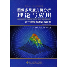 图像多尺度几何分析理论与应用