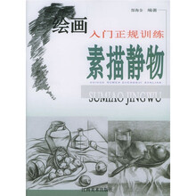 绘画入门正规训练：素描静物