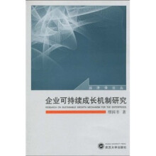 企业可持续成长机制研究