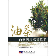 油茶高效实用栽培技术