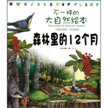 不一样的大自然绘本：森林里的12个月