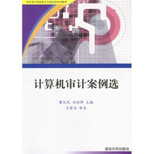 计算机审计案例选