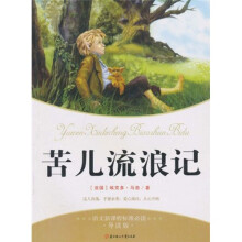 语文新课标标准必读：苦儿流浪记（导读版）