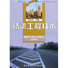 桥梁工程技术
