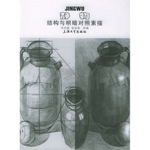 静物：结构与明暗对照素描