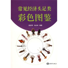 常见经济头足类彩色图集