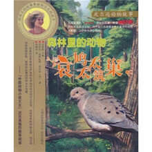 森林里的动物：哀鸠太太筑巢