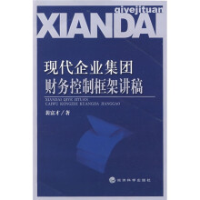 现代企业集团财务控制框架讲稿