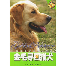 金毛寻回猎犬