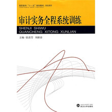 高职高专“十一五”规划教材·财会系列：审计实务全程系统训练