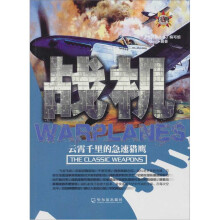 战机：云霄千里的急速猎鹰