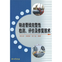 输送管线完整性检测评价及修复技术