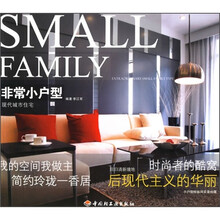 现代城市住宅：非常小户型