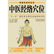 中医经络穴位