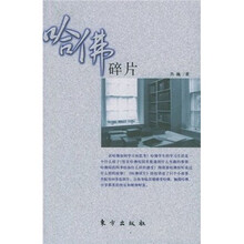哈佛碎片