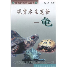 观赏水生宠物：龟