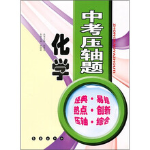中考压轴题:化学
