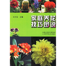 家庭养花技巧图说