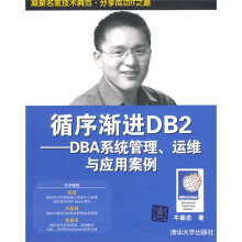 循序渐进DB2:DBA系统管理、运维与应用案例