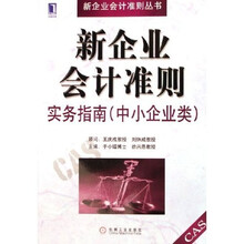 新企业会计准则实务指南：中小企业类