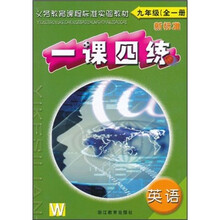 一课四练：英语（9年级全1册）（新标准）（W）