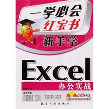 新手学：Excel办公实战（赠盘）
