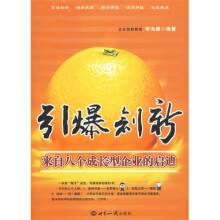 引爆创新：来自八个成长型企业的启迪