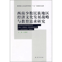 西南少数民族地区经济文化发展战略与教育需求研究